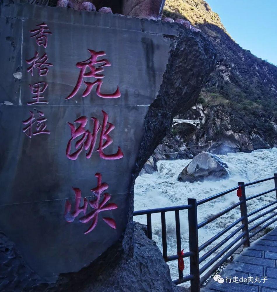 救援白虎